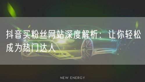 抖音买粉丝网站深度解析：让你轻松成为热门达人