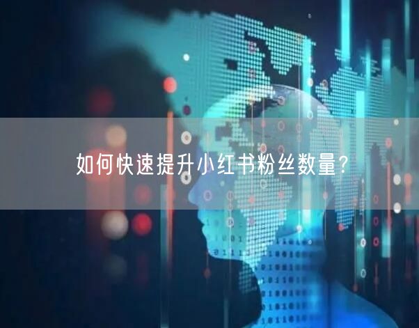 如何快速提升小红书粉丝数量？