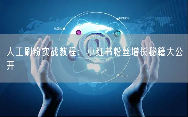 人工刷粉实战教程：小红书粉丝增长秘籍大公开