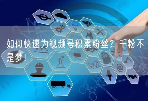 如何快速为视频号积累粉丝？千粉不是梦！