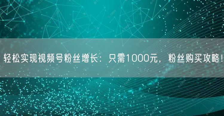 轻松实现视频号粉丝增长：只需1000元，