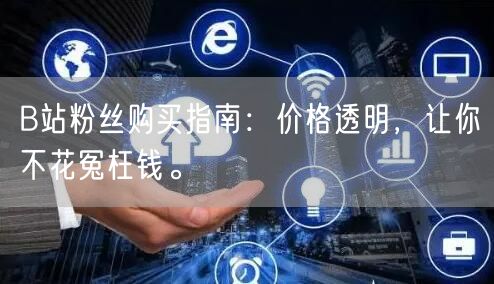 B站粉丝购买指南：价格透明，让你不花冤枉钱。