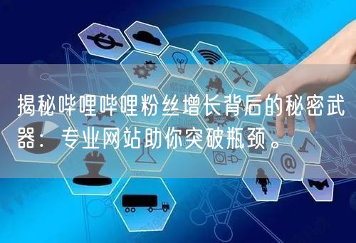 揭秘哔哩哔哩粉丝增长背后的秘密武器：专业网站助你突破瓶颈。