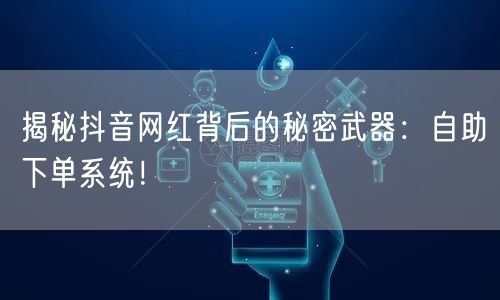 揭秘抖音网红背后的秘密武器：自助下单系统