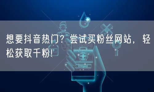 想要抖音热门？尝试买粉丝网站，轻松获取千