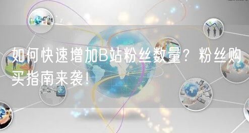 如何快速增加B站粉丝数量？粉丝购买指南来袭！