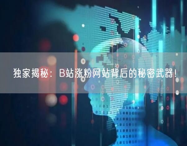 独家揭秘：B站涨粉网站背后的秘密武器！