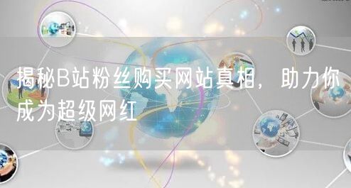 揭秘B站粉丝购买网站真相，助力你成为超级网红