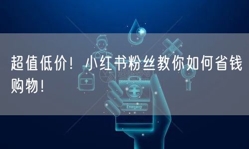 超值低价！小红书粉丝教你如何省钱购物！