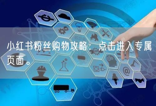 小红书粉丝购物攻略：点击进入专属页面。