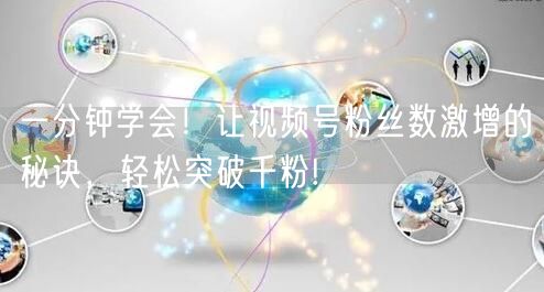 一分钟学会！让视频号粉丝数激增的秘诀，轻松突破千粉!