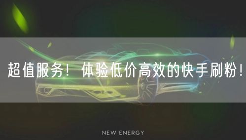 超值服务！体验低价高效的快手刷粉！