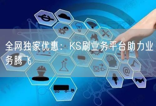 全网独家优惠：KS刷业务平台助力业务腾飞