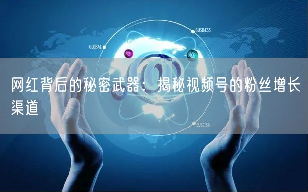 网红背后的秘密武器：揭秘视频号的粉丝增长渠道