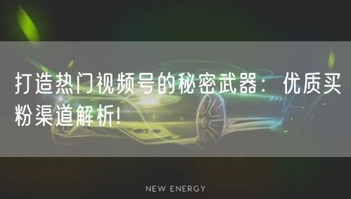 打造热门视频号的秘密武器：优质买粉渠道解析!