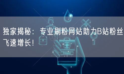 独家揭秘：专业刷粉网站助力B站粉丝飞速增长！