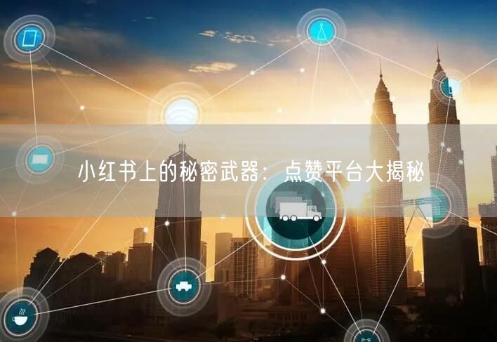小红书上的秘密武器：点赞平台大揭秘