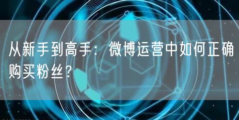 从新手到高手：微博运营中如何正确购买粉丝？
