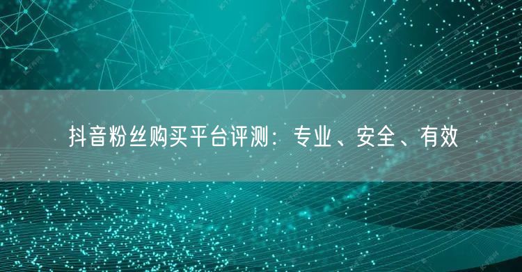 抖音粉丝购买平台评测：专业、安全、有效