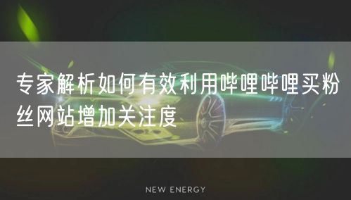 专家解析如何有效利用哔哩哔哩买粉丝网站增加关注度