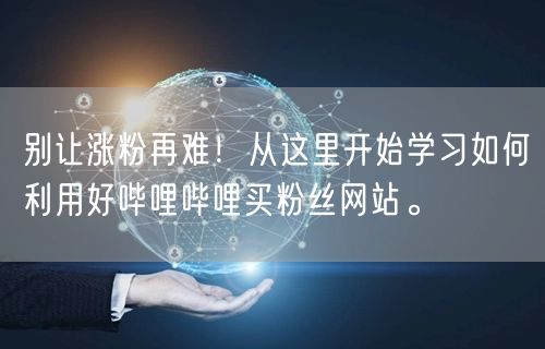 别让涨粉再难！从这里开始学习如何利用好哔哩哔哩买粉丝网站。