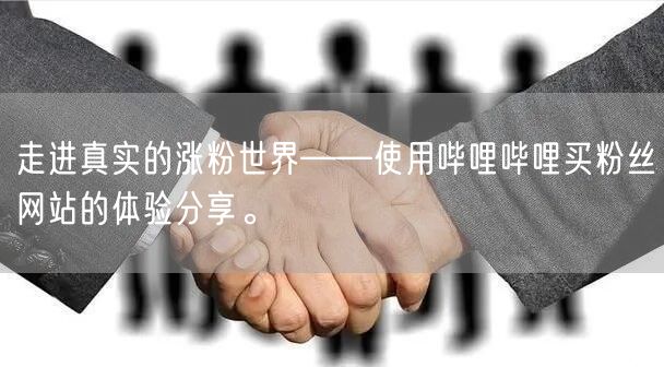 走进真实的涨粉世界——使用哔哩哔哩买粉丝网站的体验分享。