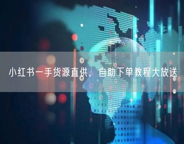 小红书一手货源直供，自助下单教程大放送