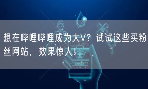 想在哔哩哔哩成为大V？试试这些买粉丝网站，效果惊人！