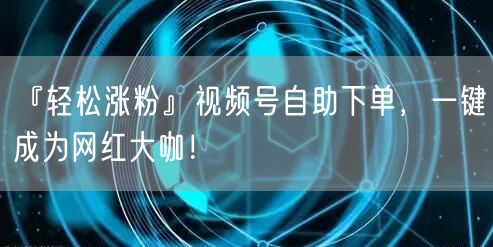 『轻松涨粉』视频号自助下单，一键成为网红大咖！