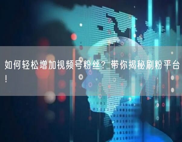 如何轻松增加视频号粉丝？带你揭秘刷粉平台！
