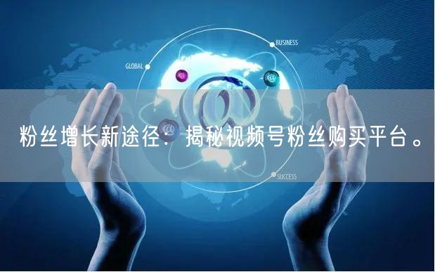 粉丝增长新途径：揭秘视频号粉丝购买平台。