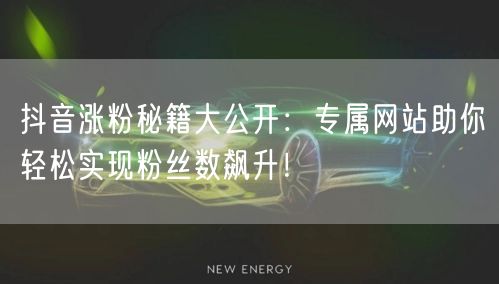 抖音涨粉秘籍大公开：专属网站助你轻松实现粉丝数飙升！