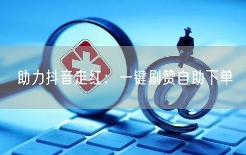助力抖音走红：一键刷赞自助下单