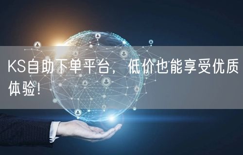 KS自助下单平台，低价也能享受优质体验！