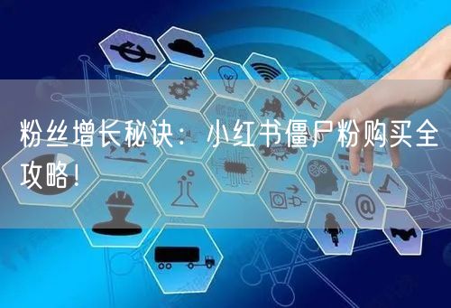 粉丝增长秘诀：小红书僵尸粉购买全攻略！