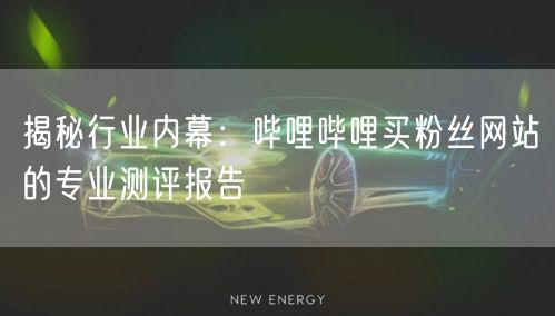 揭秘行业内幕：哔哩哔哩买粉丝网站的专业测评报告