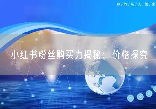 小红书粉丝购买力揭秘：价格探究