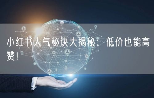 小红书人气秘诀大揭秘：低价也能高赞！
