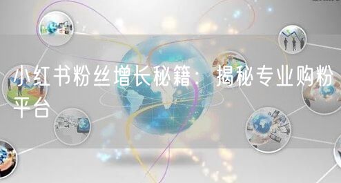 小红书粉丝增长秘籍：揭秘专业购粉平台
