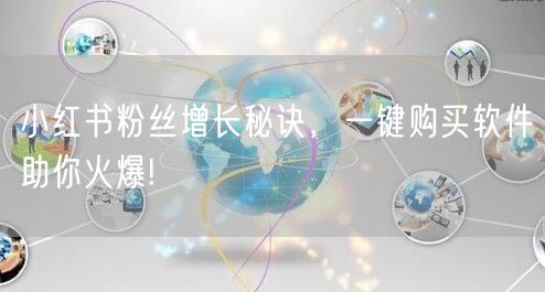 小红书粉丝增长秘诀，一键购买软件助你火爆!