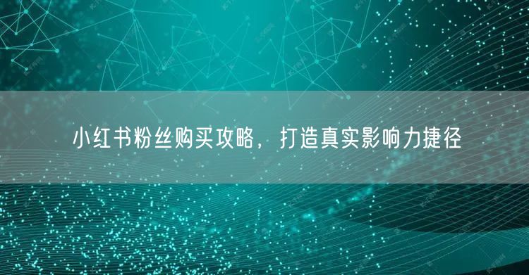小红书粉丝购买攻略，打造真实影响力捷径