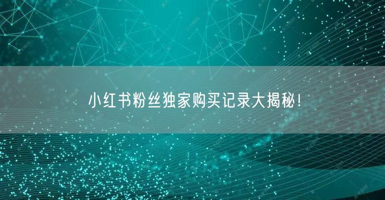 小红书粉丝独家购买记录大揭秘！