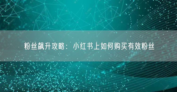 粉丝飙升攻略：小红书上如何购买有效粉丝