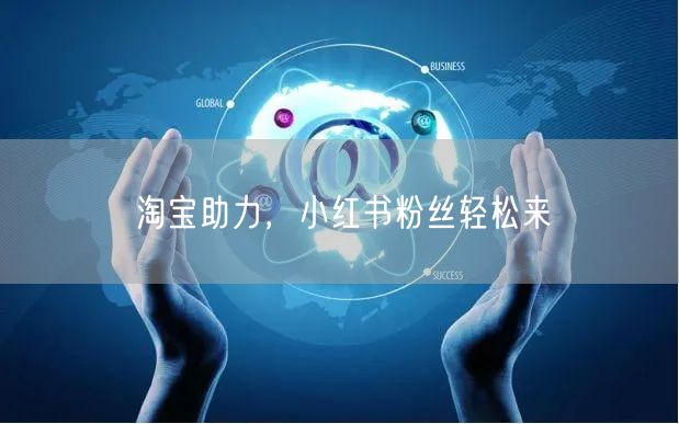 淘宝助力，小红书粉丝轻松来