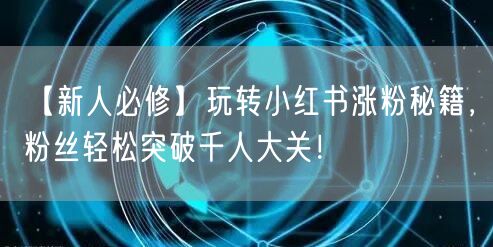 【新人必修】玩转小红书涨粉秘籍，粉丝轻松突破千人大关！