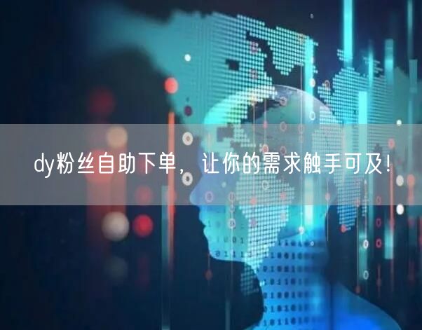 dy粉丝自助下单，让你的需求触手可及！