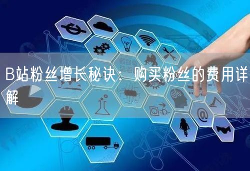 B站粉丝增长秘诀：购买粉丝的费用详解