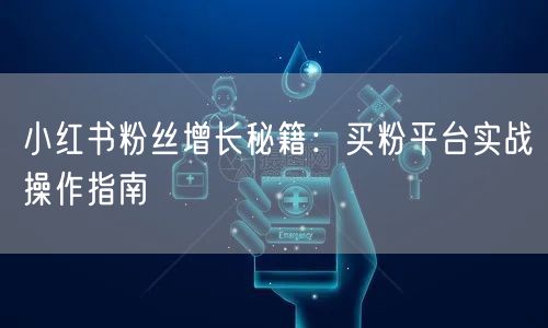 小红书粉丝增长秘籍：买粉平台实战操作指南