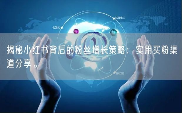 揭秘小红书背后的粉丝增长策略：实用买粉渠