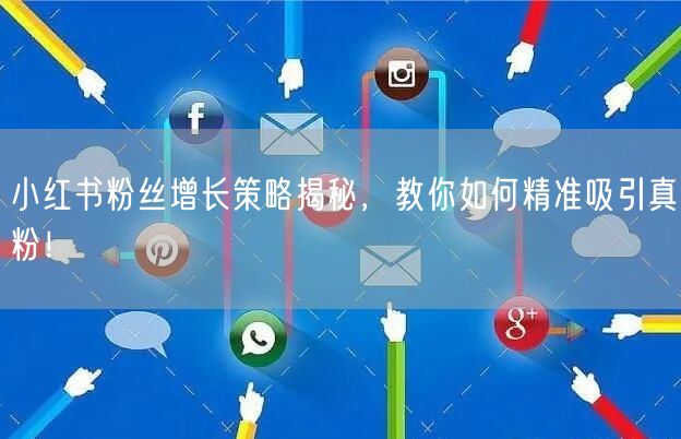 小红书粉丝增长策略揭秘，教你如何精准吸引